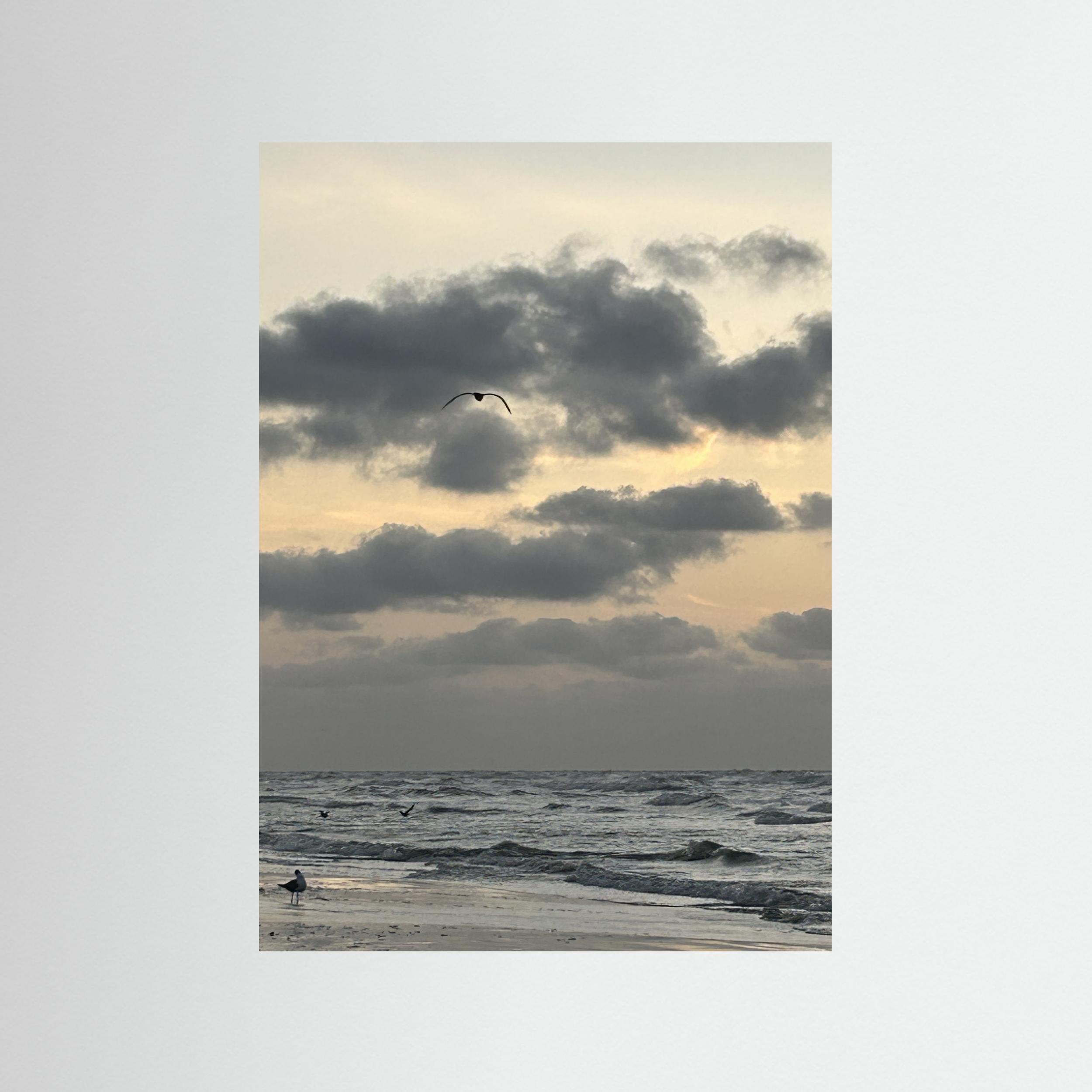 Cloudy waters