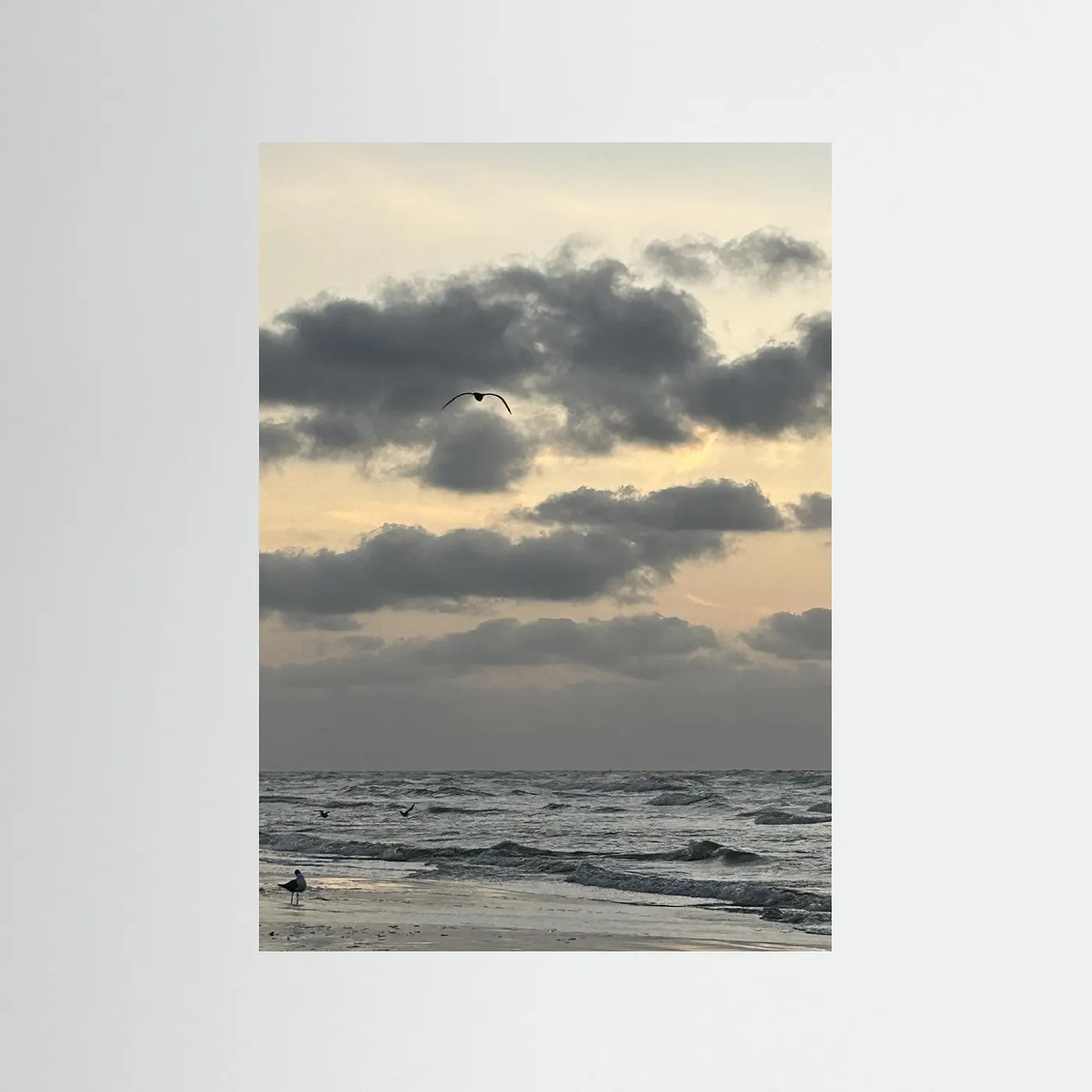 Cloudy waters